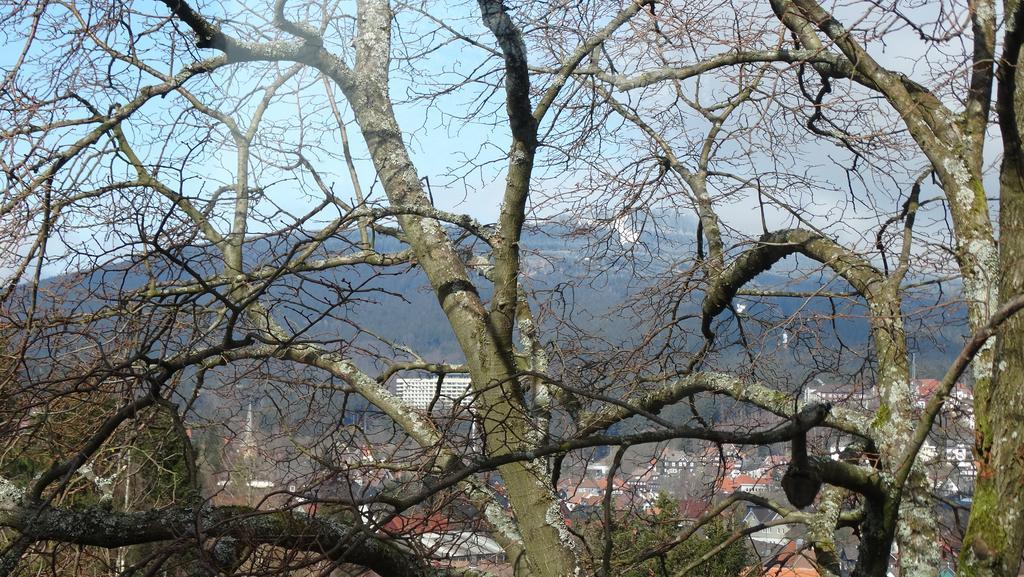 Bergziege Daire Braunlage Dış mekan fotoğraf